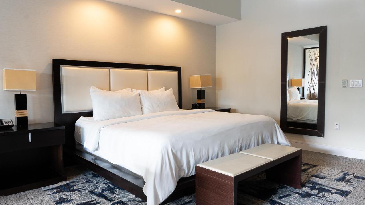 Modern Private Studio - King Bed, Jacuzzi, Balcony And Pool Aparthotel Miami Exterior photo